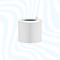 HEPA 13 filter