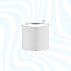 HEPA 13 filter